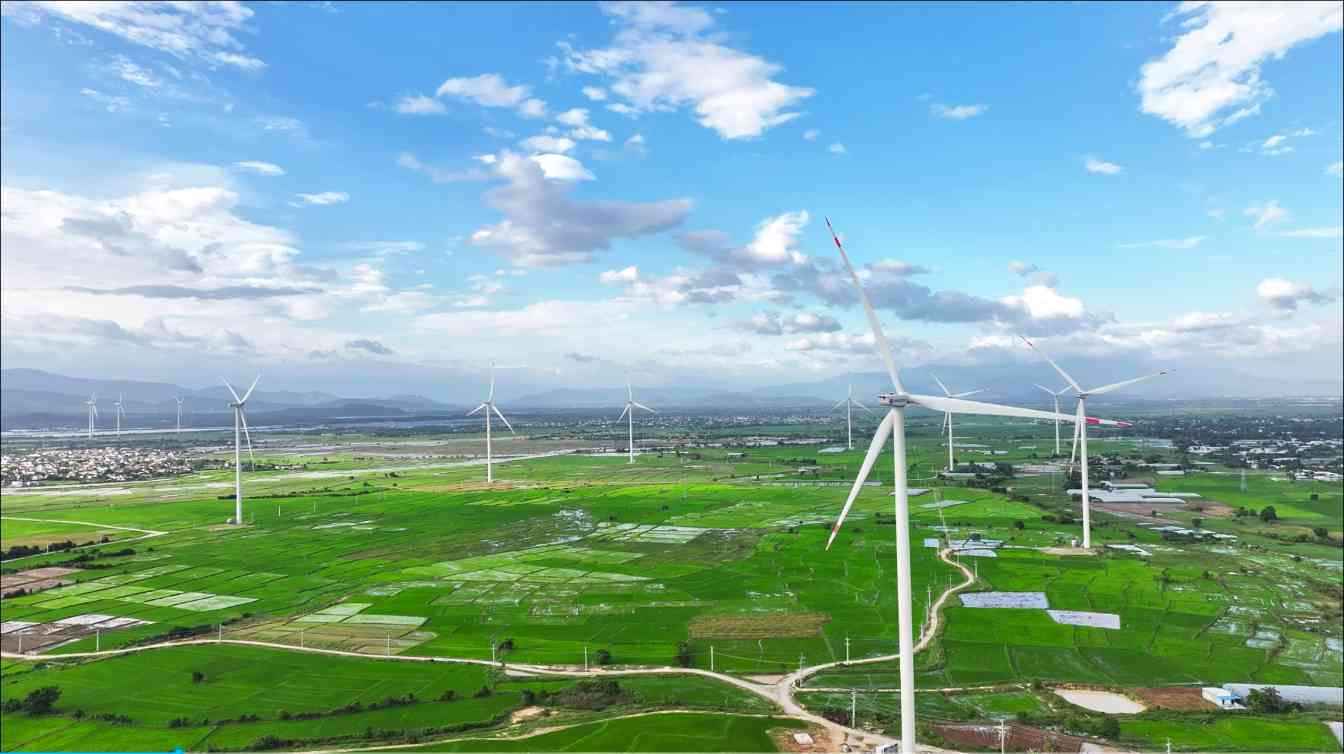 构建“专属通道”，深圳能源境外绿色合作按下“加速键...