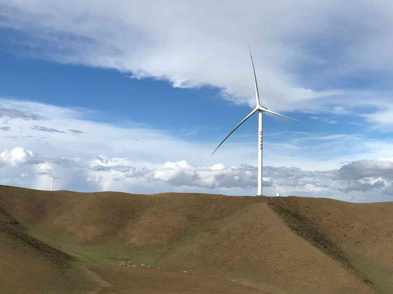 喜报｜深圳能源多个风电场获佳绩