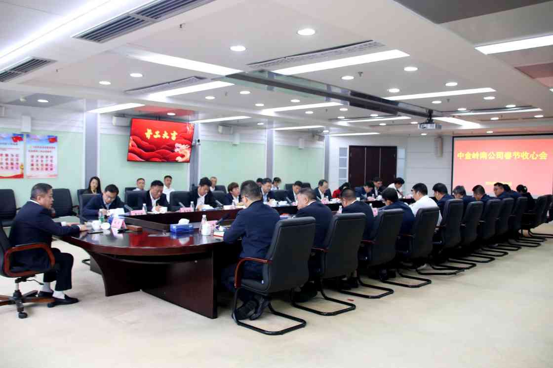 中金岭南公司召开年度重点工作推进会