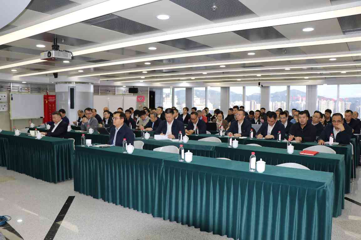 把脉有色市场新趋势，创新供应链发展新思维：中金岭南召开2...