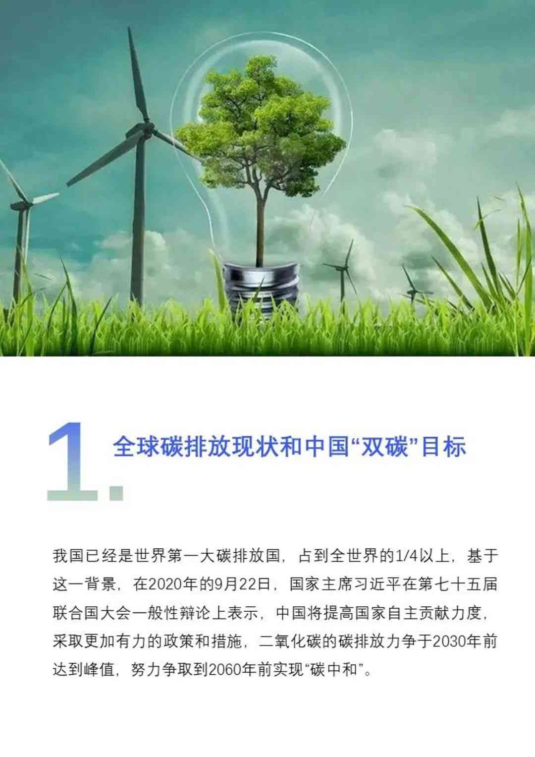 中国半导体显示产业碳中和白皮书(图4)