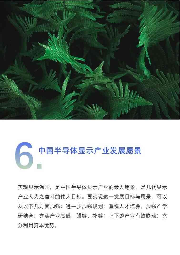 中国半导体显示产业碳中和白皮书(图87)